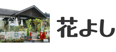 観葉植物リースレンタル・生花配達専門店｜佐賀｜長崎｜花よし